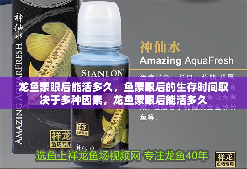 龍魚蒙眼后能活多久，魚蒙眼后的生存時間取決于多種因素，龍魚蒙眼后能活多久