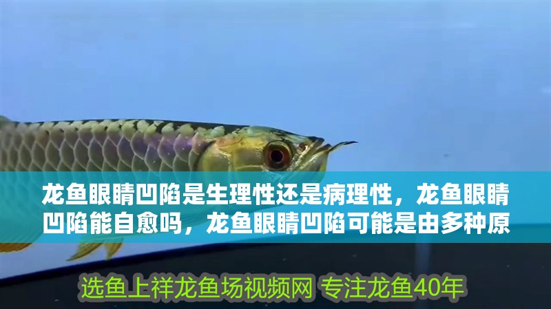 龍魚眼睛凹陷是生理性還是病理性，龍魚眼睛凹陷能自愈嗎，龍魚眼睛凹陷可能是由多種原因引起的，龍魚眼睛凹陷能自愈嗎