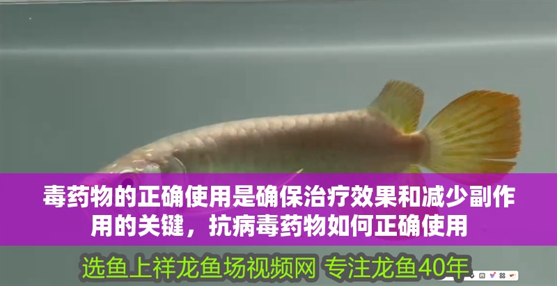 毒藥物的正確使用是確保治療效果和減少副作用的關鍵，抗病毒藥物如何正確使用