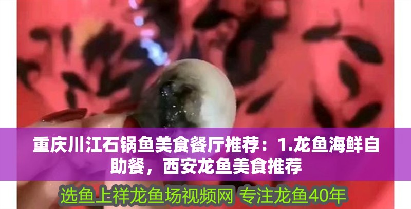 重慶川江石鍋魚美食餐廳推薦：1.龍魚海鮮自助餐，西安龍魚美食推薦
