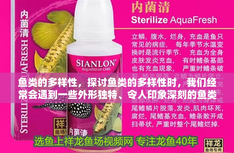 魚(yú)類(lèi)的多樣性，探討?hù)~(yú)類(lèi)的多樣性時(shí)，我們經(jīng)常會(huì)遇到一些外形獨(dú)特、令人印象深刻的魚(yú)類(lèi)