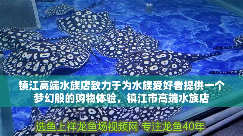 詳細閱讀:鎮江高端水族店致力于為水族愛好者提供一個夢幻般的購物體驗,鎮江市高端水族店 鎮江高端水族店致力于為水族愛好者提供一個夢幻般的購物體驗,鎮江市高端水族店