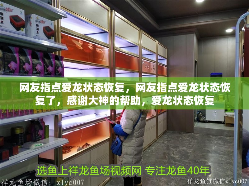 網友指點愛龍狀態恢復，網友指點愛龍狀態恢復了，感謝大神的幫助，愛龍狀態恢復