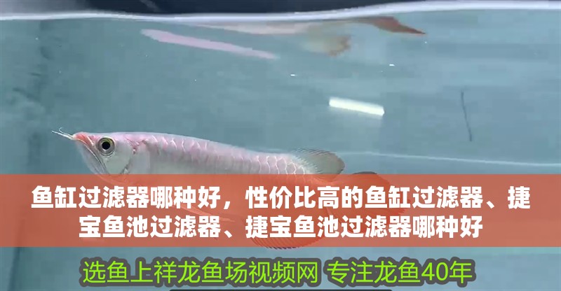 魚缸過濾器哪種好，性價(jià)比高的魚缸過濾器、捷寶魚池過濾器、捷寶魚池過濾器哪種好