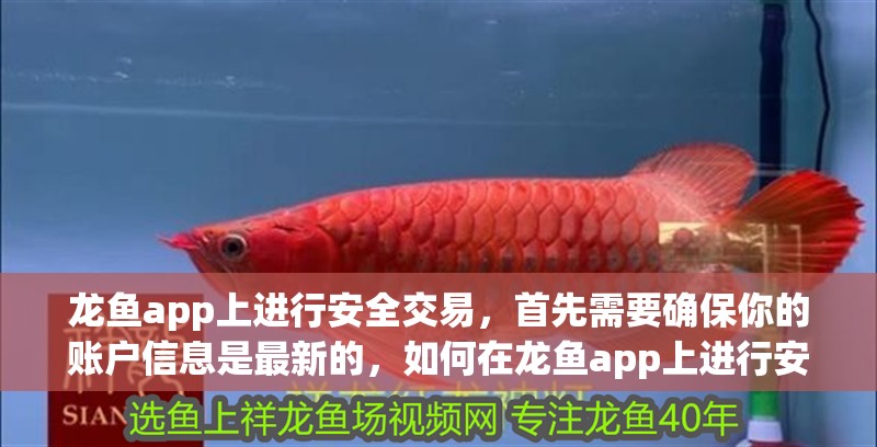 龍魚app上進行安全交易，首先需要確保你的賬戶信息是最新的，如何在龍魚app上進行安全交易？