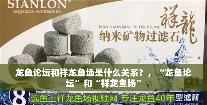 龍魚(yú)論壇和祥龍魚(yú)場(chǎng)是什么關(guān)系？，“龍魚(yú)論壇”和“祥龍魚(yú)場(chǎng)” 龍魚(yú)論壇和祥龍魚(yú)場(chǎng)是什么關(guān)系？，“龍魚(yú)論壇”和“祥龍魚(yú)場(chǎng)” 觀賞魚(yú)百科 第7張