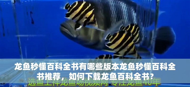 龍魚秒懂百科全書有哪些版本龍魚秒懂百科全書推薦，如何下載龍魚百科全書？