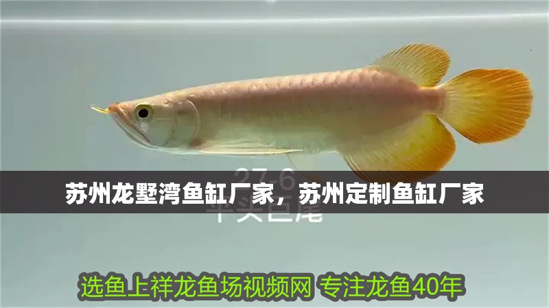 蘇州龍墅灣魚缸廠家，蘇州定制魚缸廠家