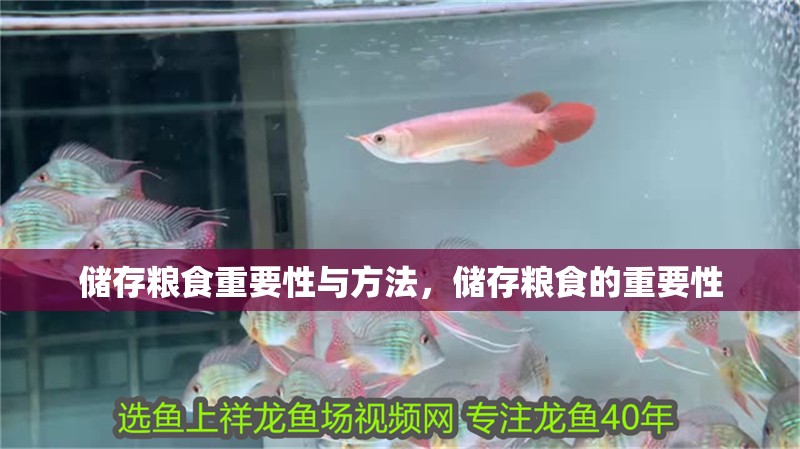 儲存糧食重要性與方法，儲存糧食的重要性