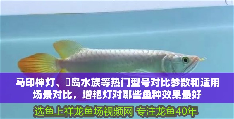 馬印神燈、寳島水族等熱門型號對比參數和適用場景對比，增艷燈對哪些魚種效果最好