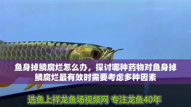 魚身掉鱗腐爛怎么辦，探討哪種藥物對魚身掉鱗腐爛最有效時需要考慮多種因素