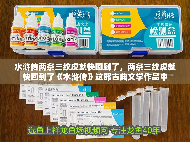 水滸傳兩條三紋虎就快回到了，兩條三紋虎就快回到了《水滸傳》這部古典文學(xué)作品中