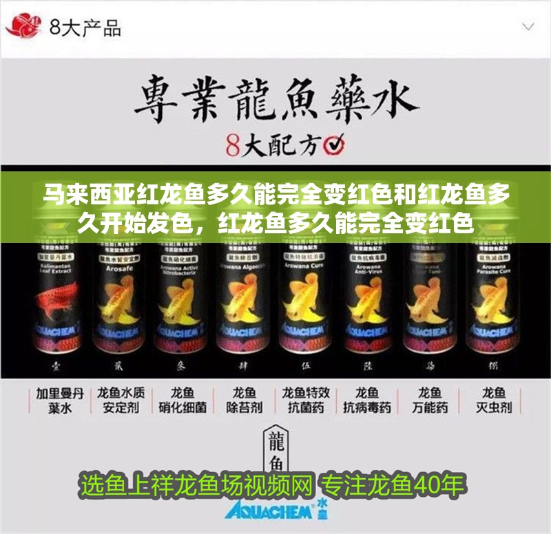馬來西亞紅龍魚多久能完全變紅色和紅龍魚多久開始發色，紅龍魚多久能完全變紅色