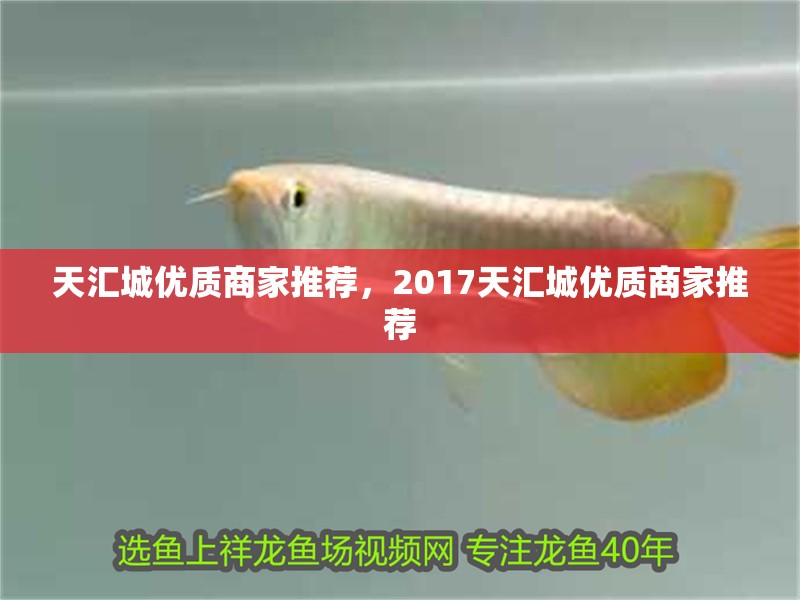 天匯城優質商家推薦，2017天匯城優質商家推薦