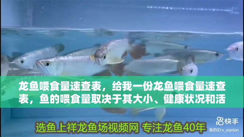 龍魚(yú)喂食量速查表，給我一份龍魚(yú)喂食量速查表，魚(yú)的喂食量取決于其大小、健康狀況和活動(dòng)水平和活動(dòng)水平 龍魚(yú)喂食量速查表，給我一份龍魚(yú)喂食量速查表，魚(yú)的喂食量取決于其大小、健康狀況和活動(dòng)水平和活動(dòng)水平 龍魚(yú)百科 第3張