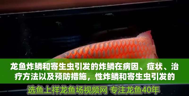 龍魚炸鱗和寄生蟲引發的炸鱗在病因、癥狀、治療方法以及預防措施，性炸鱗和寄生蟲引發的炸鱗在病因、癥狀、治療方法上都有差異