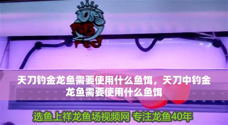 天刀釣金龍魚需要使用什么魚餌，天刀中釣金龍魚需要使用什么魚餌