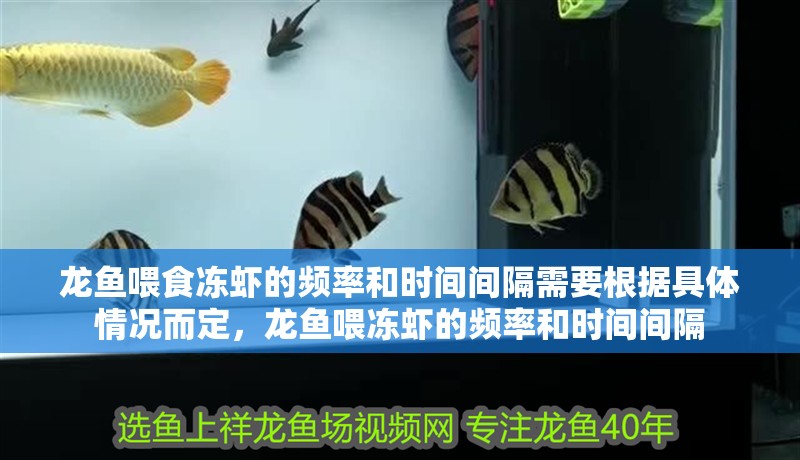 龍魚喂食凍蝦的頻率和時間間隔需要根據具體情況而定，龍魚喂凍蝦的頻率和時間間隔