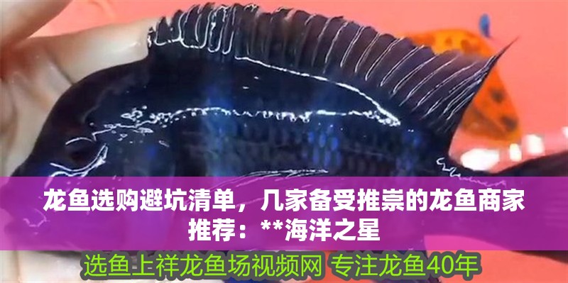 龍魚選購避坑清單，幾家備受推崇的龍魚商家推薦：**海洋之星