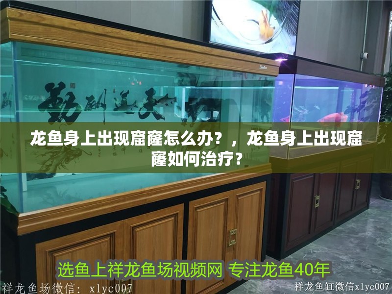 龍魚身上出現窟窿怎么辦?,龍魚身上出現窟窿如何治療? 龍魚百科 第3張 龍魚身上出現窟窿怎么辦?,龍魚身上出現窟窿如何治療? 龍魚身上出現窟窿怎么辦?,龍魚身上出現窟窿如何治療? 龍魚百科 第3張