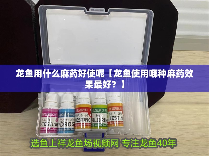 龍魚用什么麻藥好使呢【龍魚使用哪種麻藥效果最好？】