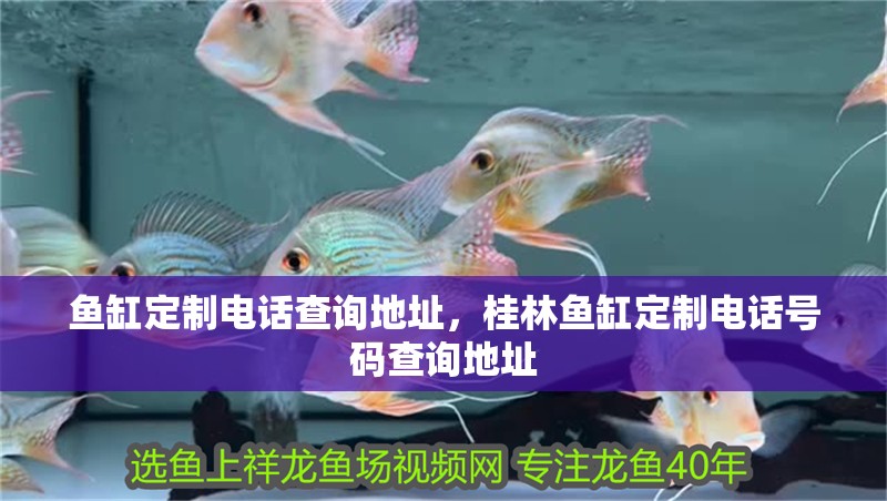 魚缸定制電話查詢地址，<strong><mark>桂林</mark></strong>魚缸定制電話號碼查詢地址
