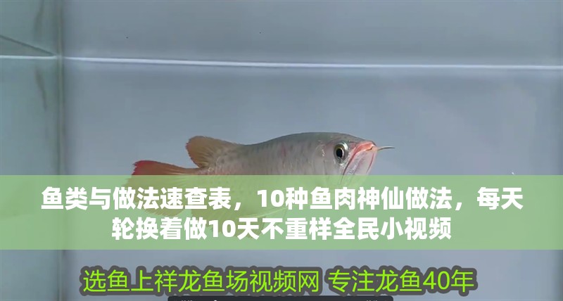 魚類與做法速查表，10種魚肉神仙做法，每天輪換著做10天不重樣全民小視頻