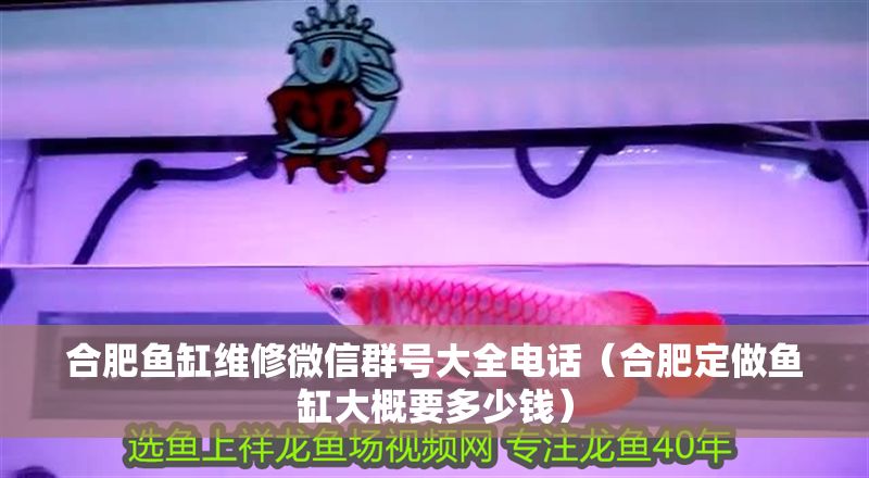 合肥魚缸維修微信群號大全電話（合肥定做魚缸大概要多少錢）