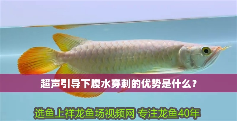 超聲引導下腹水穿刺的優勢是什么？