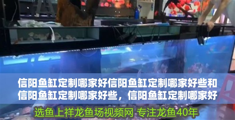 信陽魚缸定制哪家好信陽魚缸定制哪家好些和信陽魚缸定制哪家好些，信陽魚缸定制哪家好些