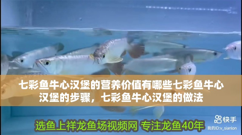 七彩魚牛心漢堡的營養價值有哪些七彩魚牛心漢堡的步驟，七彩魚牛心漢堡的做法