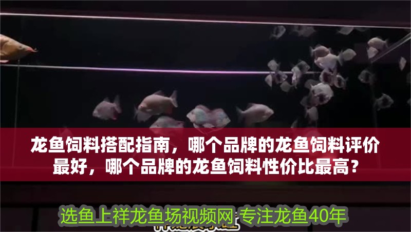 龍魚飼料搭配指南，哪個品牌的龍魚飼料評價最好，哪個品牌的龍魚飼料性價比最高？
