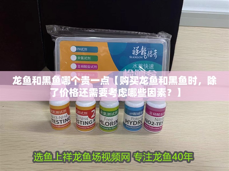 龍魚和黑魚哪個貴一點【購買龍魚和黑魚時，除了價格還需要考慮哪些因素？】