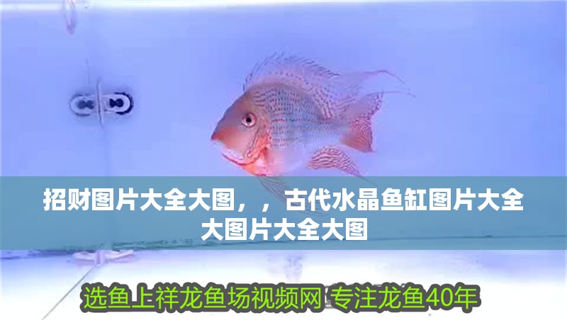 招財圖片大全大圖，，古代水晶魚缸圖片大全大圖片大全大圖