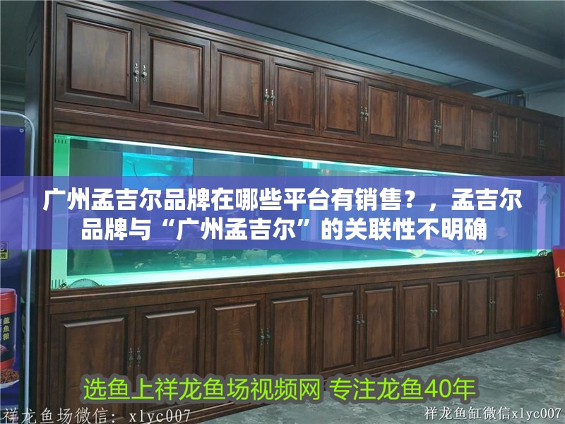 廣州孟吉爾品牌在哪些平臺有銷售？，孟吉爾品牌與“廣州孟吉爾”的關聯性不明確