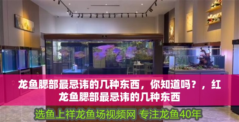 龍魚腮部最忌諱的幾種東西，你知道嗎？，紅龍魚腮部最忌諱的幾種東西