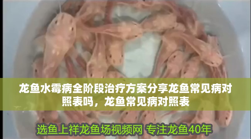 龍魚水霉病全階段治療方案分享龍魚常見病對照表嗎，龍魚常見病對照表