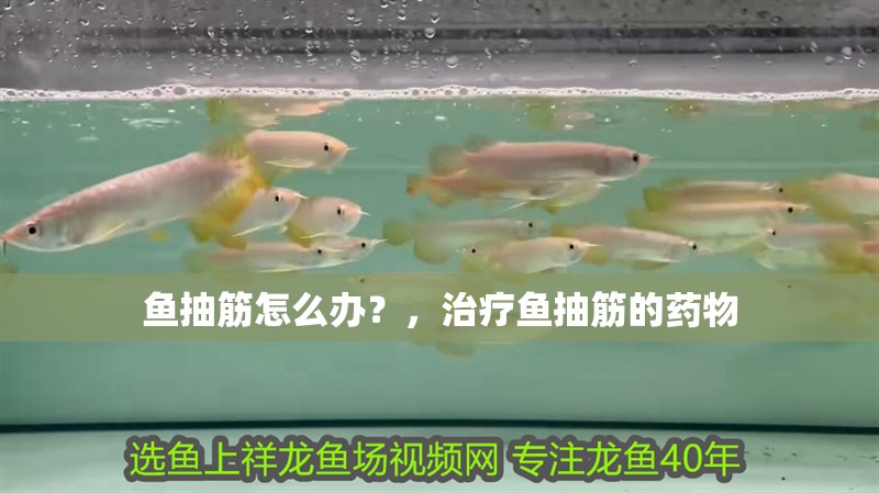 魚抽筋怎么辦？，治療魚抽筋的藥物