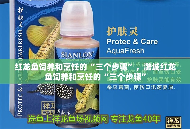 紅龍魚飼養和烹飪的“三個步驟”，潞城紅龍魚飼養和烹飪的“三個步驟”