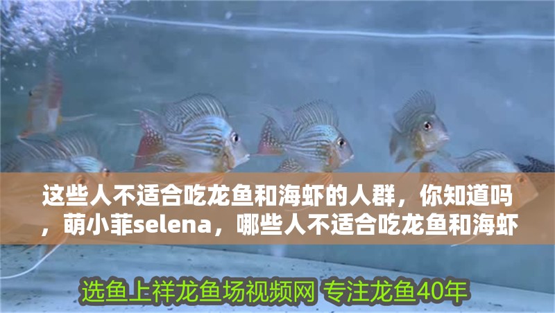 這些人不適合吃龍魚和海蝦的人群，你知道嗎，萌小菲selena，哪些人不適合吃龍魚和海蝦？