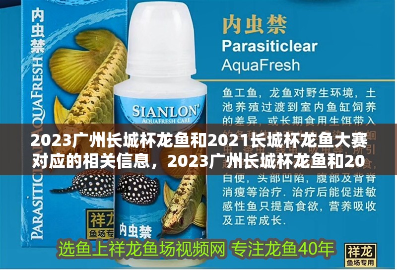 2023廣州長城杯龍魚和2021長城杯龍魚大賽對應的相關信息，2023廣州長城杯龍魚和2021長城杯龍魚大賽