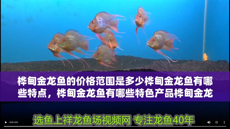 樺甸金龍魚的價格范圍是多少樺甸金龍魚有哪些特點，樺甸金龍魚有哪些特色產品樺甸金龍魚有哪些特點