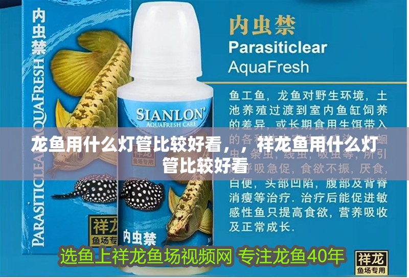 龍魚用什么燈管比較好看，，祥龍魚用什么燈管比較好看