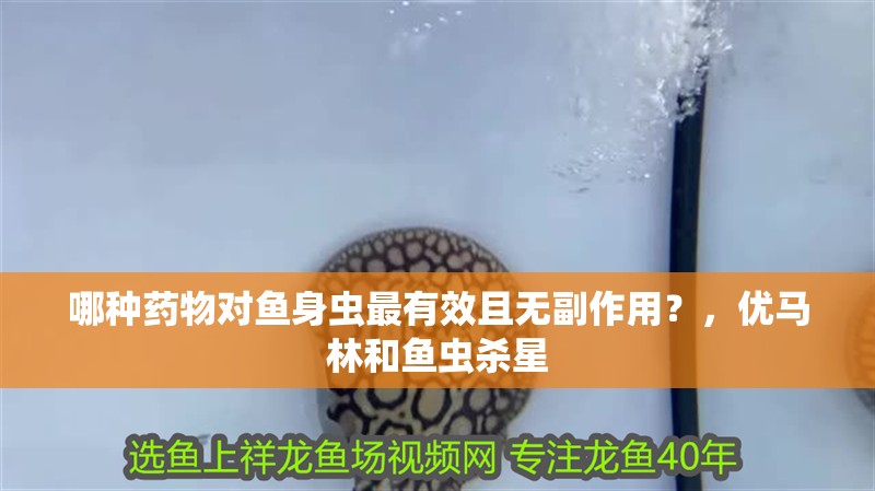 哪種藥物對魚身蟲最有效且無副作用？，優馬林和魚蟲殺星