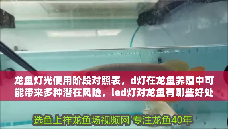 龍魚燈光使用階段對(duì)照表，d燈在龍魚養(yǎng)殖中可能帶來多種潛在風(fēng)險(xiǎn)，led燈對(duì)龍魚有哪些好處