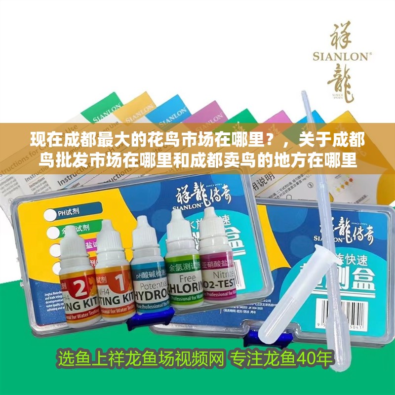 現在成都最大的花鳥市場在哪里？，關于成都鳥批發市場在哪里和成都賣鳥的地方在哪里