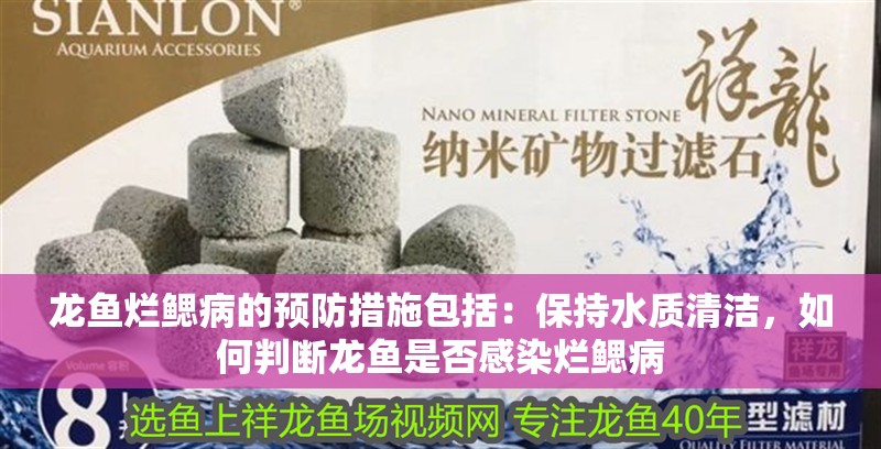 龍魚爛鰓病的預(yù)防措施包括：保持水質(zhì)清潔，如何判斷龍魚是否感染爛鰓病
