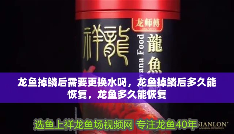 龍魚掉鱗后需要更換水嗎，龍魚掉鱗后多久能恢復，龍魚多久能恢復