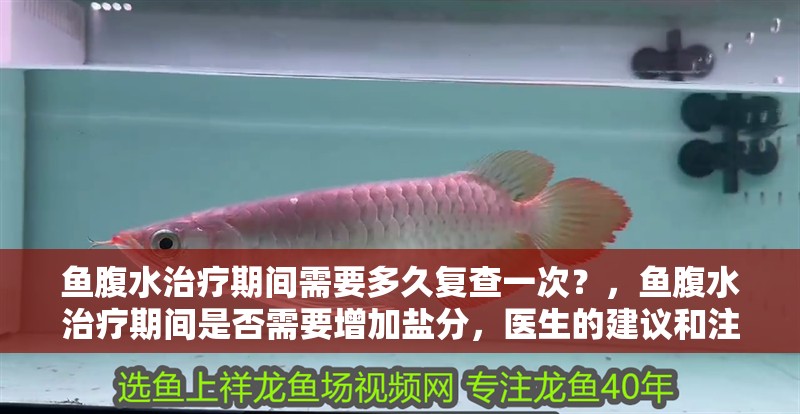 魚腹水治療期間需要多久復查一次？，魚腹水治療期間是否需要增加鹽分，醫生的建議和注意事項