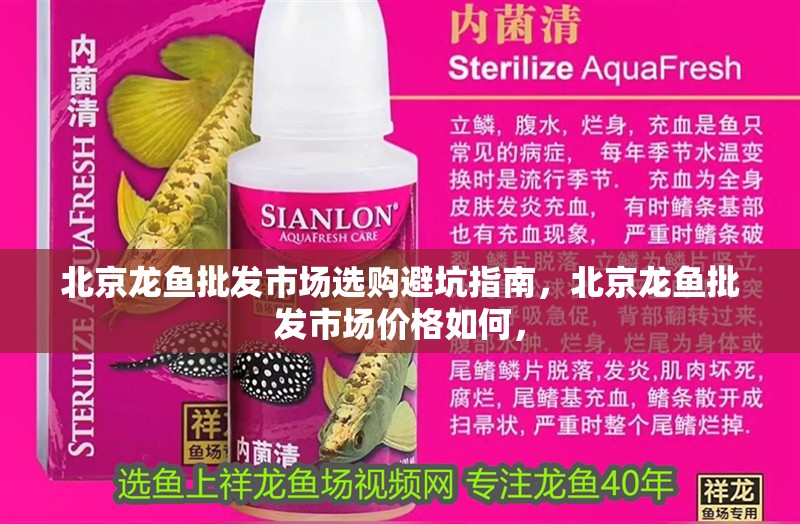 <strong><mark>北京</mark></strong>龍魚批發市場選購避坑指南，<strong><mark>北京</mark></strong>龍魚批發市場價格如何，